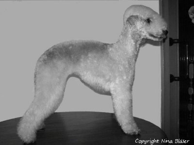 Alanna 04022007-SWA - Kopie.jpg - ASCII